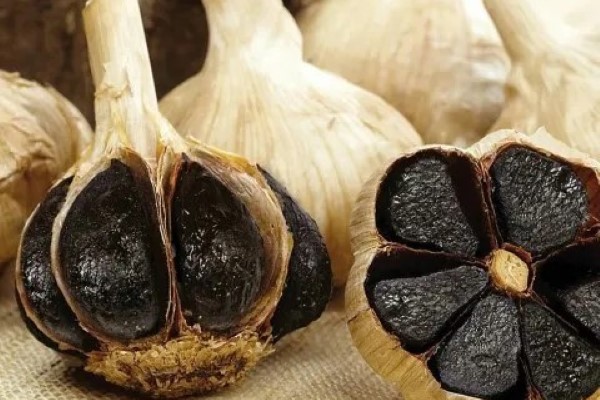 تصویر 4 از قیمت خرید سیر سیاه یزد + فروش ویژه